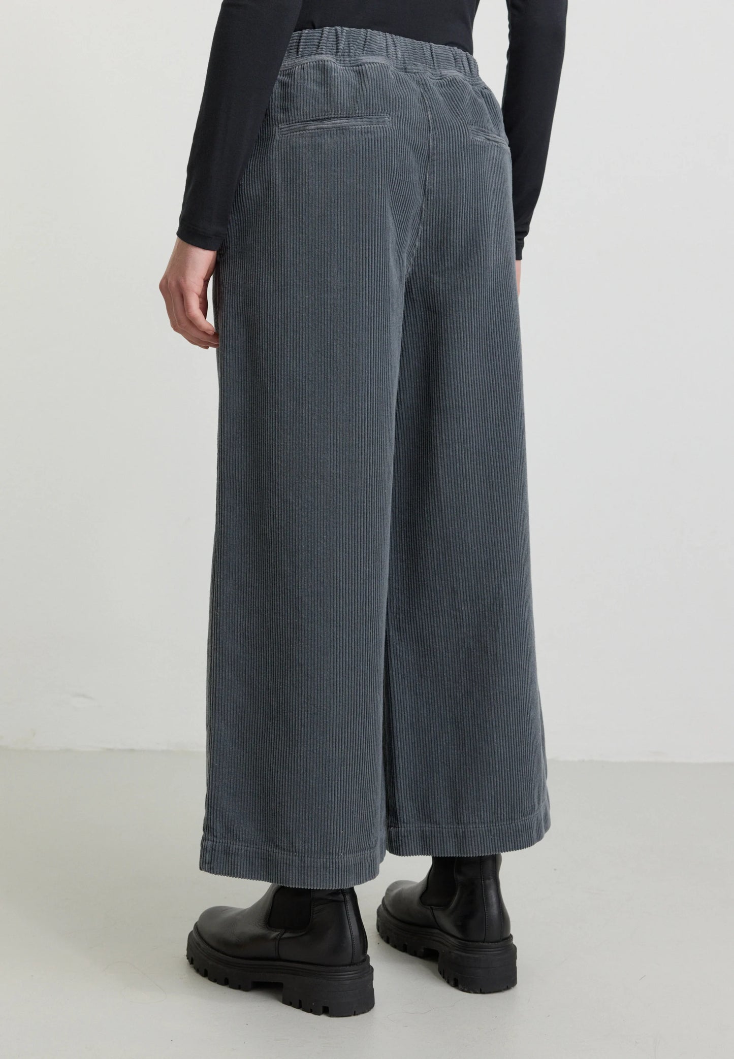 Recolution Hose Protea