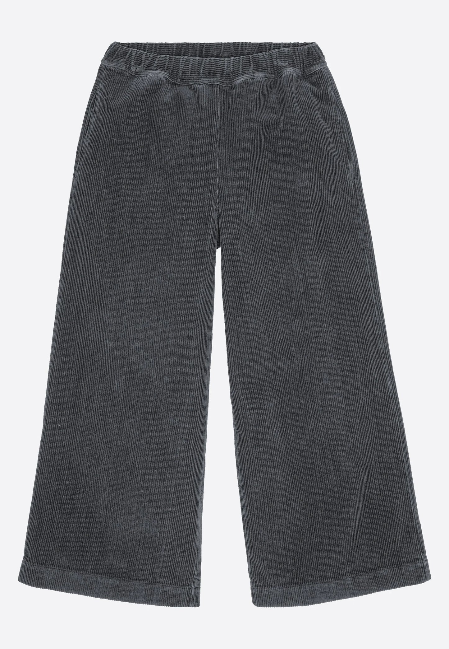 Recolution Hose Protea