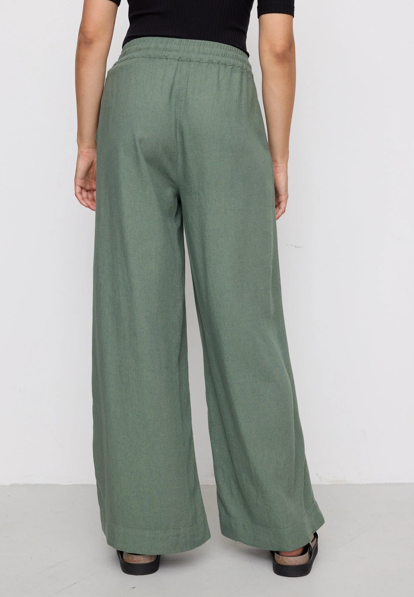 Recolution Hose Alisma