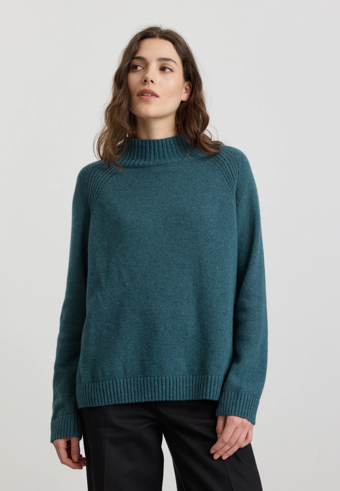 Recolution Pullover Eleocharis