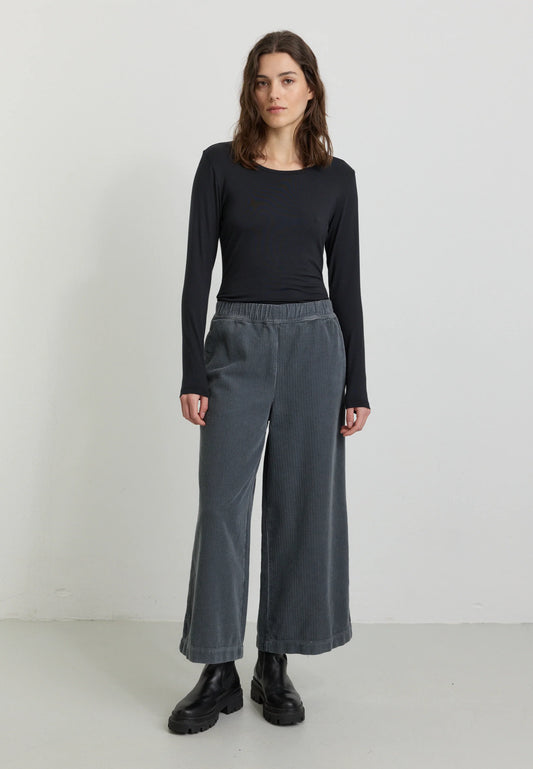 Recolution Hose Protea