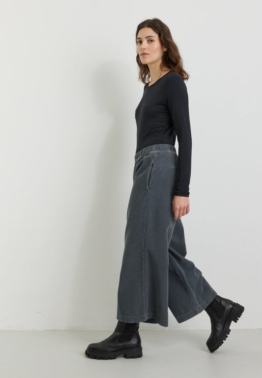 Recolution Hose Protea