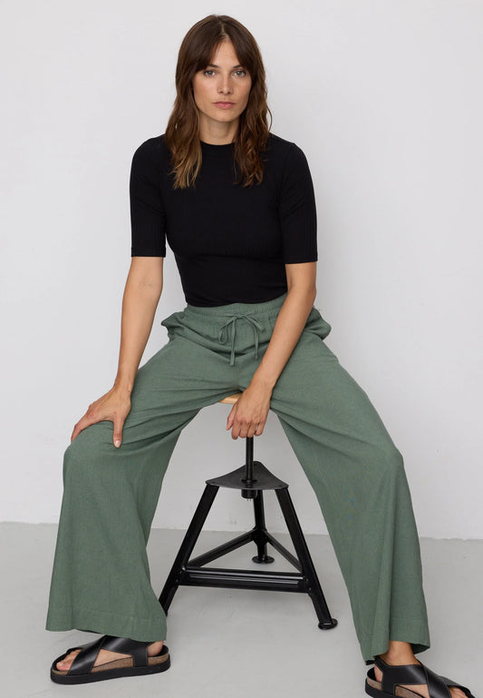 Recolution Hose Alisma